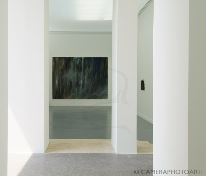 Venice Biennale 2007, Austrian pavilion: Herbert Brandl exhibition